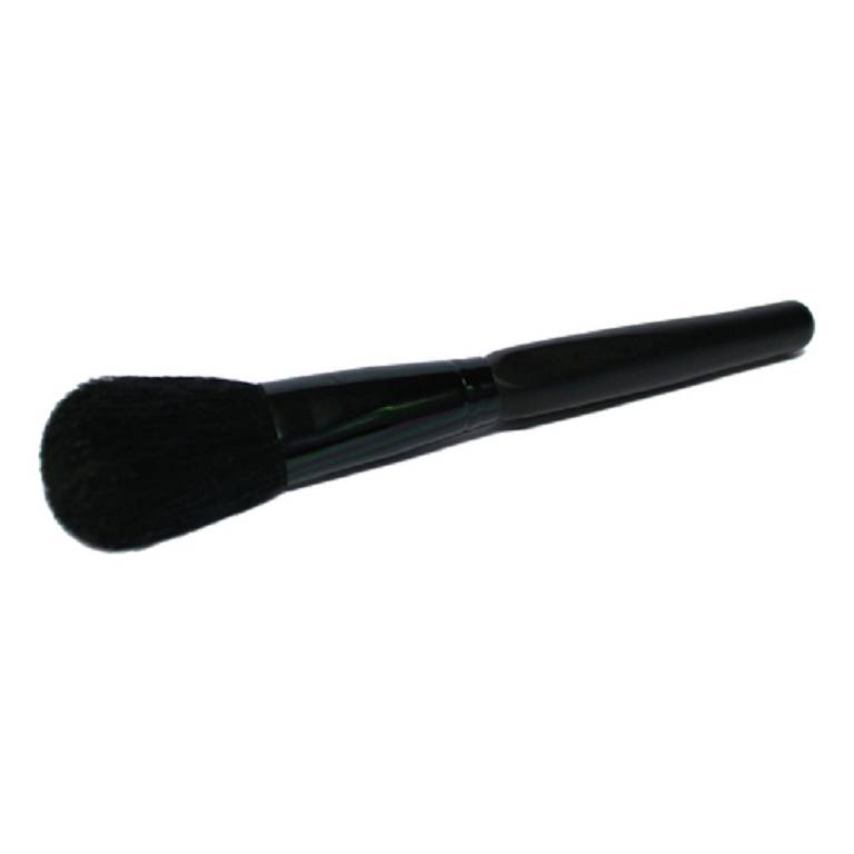 PENNELLO CIPRIA PROFESS CM 19