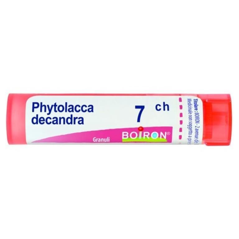 PHYTOLACCA DE BOI*7CH GR 4G