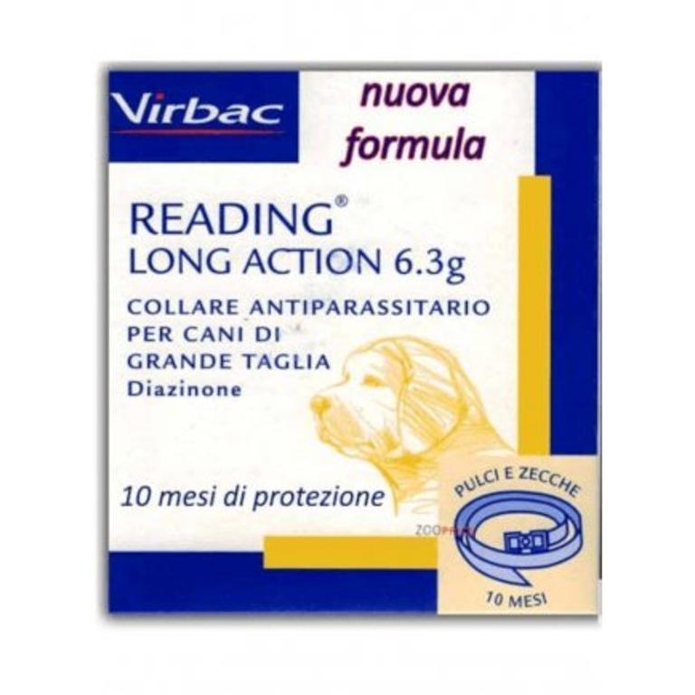 READING LONG ACT*CANI GRANDI