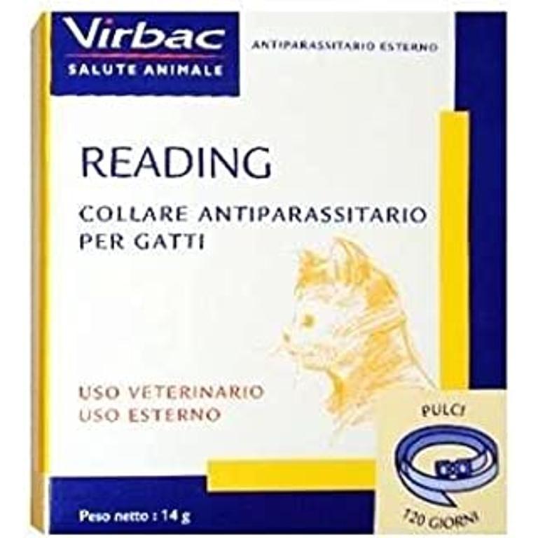 READING LONG ACTION*COLLARE GA