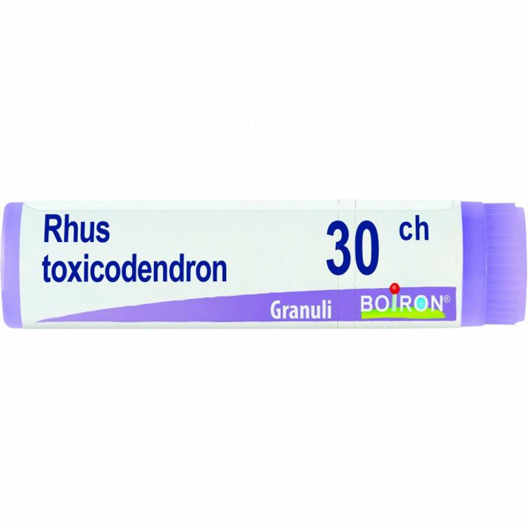 RHUS TOXICOD BOI*30CH 80GR4G